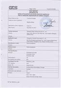 Airwheel Charger 110V LVD Certificate